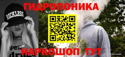 a pvp Кимры