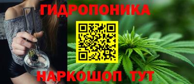 марихуана Кингисепп