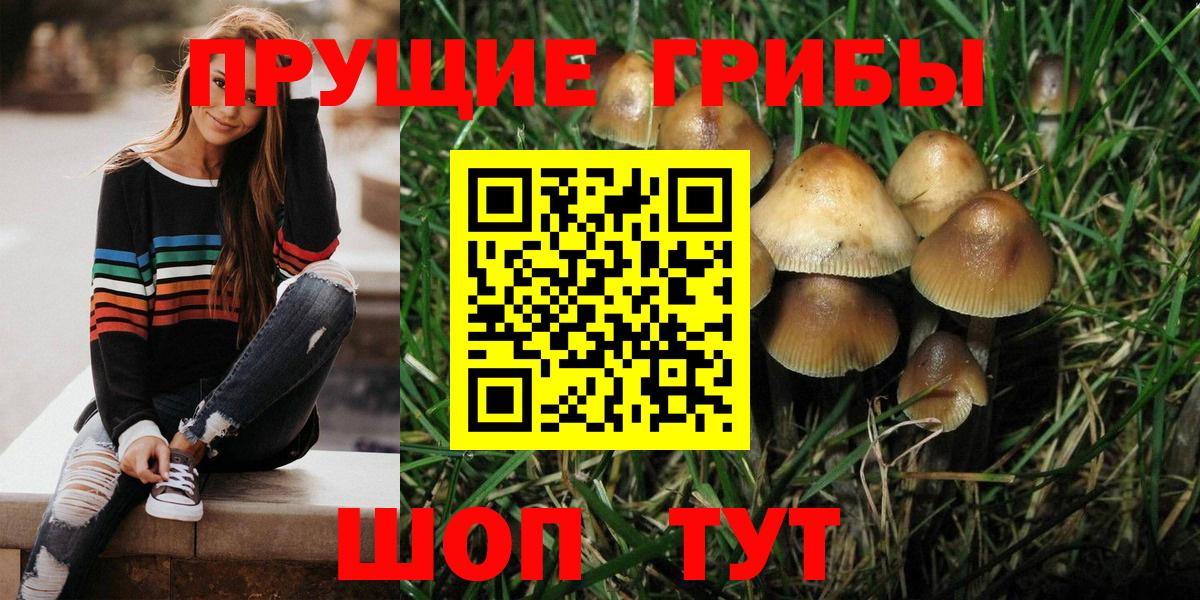 Галлюциногенные грибы прущие грибы Красноармейск