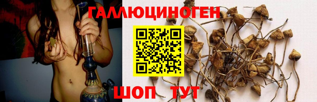 Псилоцибиновые грибы Красноармейск