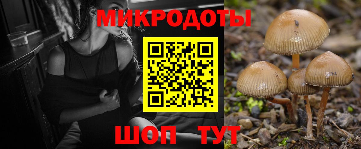 Псилоцибиновые грибы Psilocybine cubensis  Вход с VPN  что такое   Красноармейск 